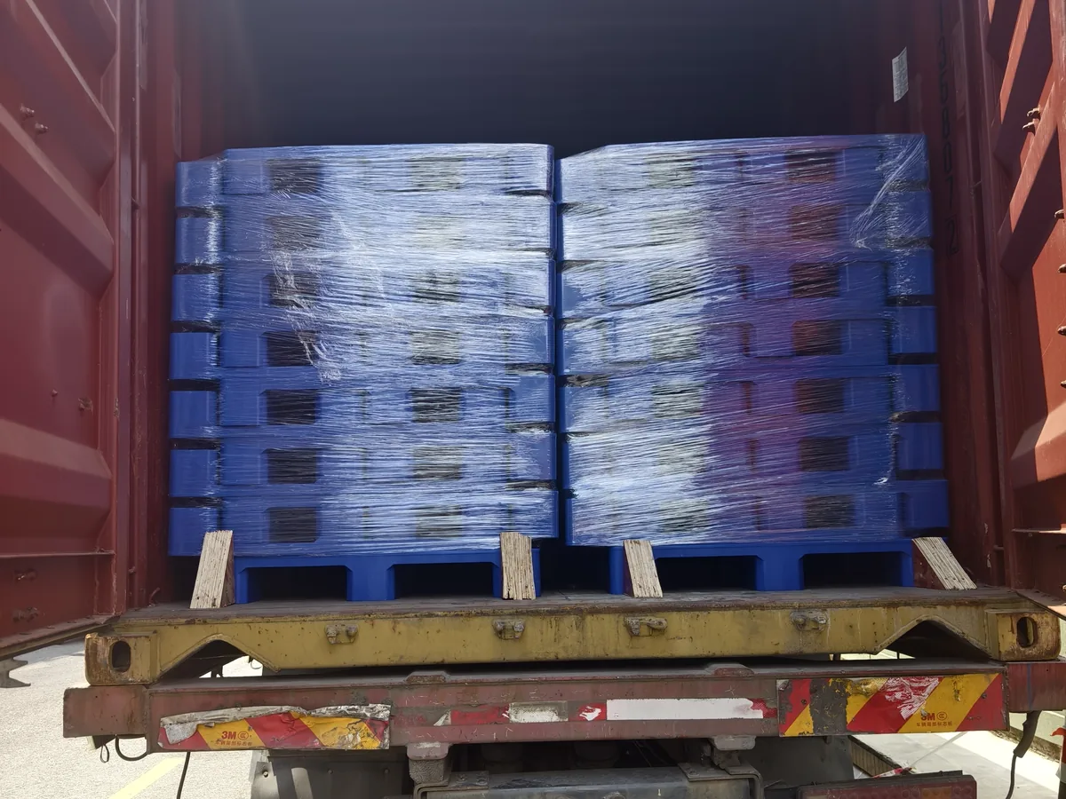 Palletized goods loaded in a container for ocean freight export